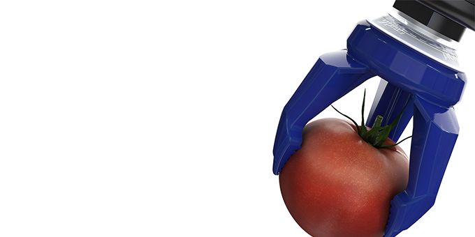Advantages of Vacuum driven Soft Grips for Food Production